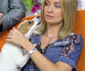Agnieszka Szulim