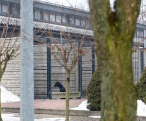 Miał być protest milczenia, doszło do awantury. Gorąco pod schroniskiem w Bytomiu