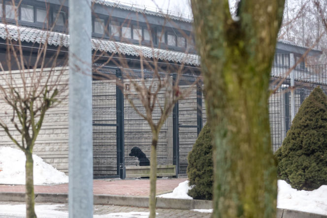 Miał być protest milczenia, doszło do awantury. Gorąco pod schroniskiem w Bytomiu