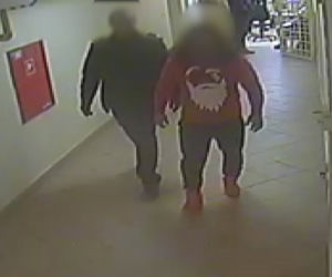 Wyłudzali mieszkania i mordowali właścicieli. Bezwzględny gang trucicieli w rękach policji