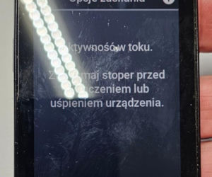 Pościg rodem z kina akcji. 20-latek na rowerze ścigany podczas wyścigu kolarskiego