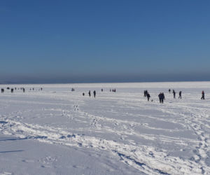 Plaża w Świnoujściu w zimowej odsłonie