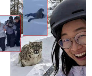 Zrobiła selfie z panterą! Sekundę później doszło do masakry