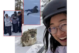 Zrobiła selfie z panterą! Sekundę później doszło do masakry