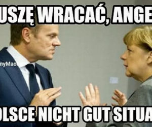 Donald Tusk wrócił do polskiej polityki. Internet OSZALAŁ, zobacz najlepsze memy!