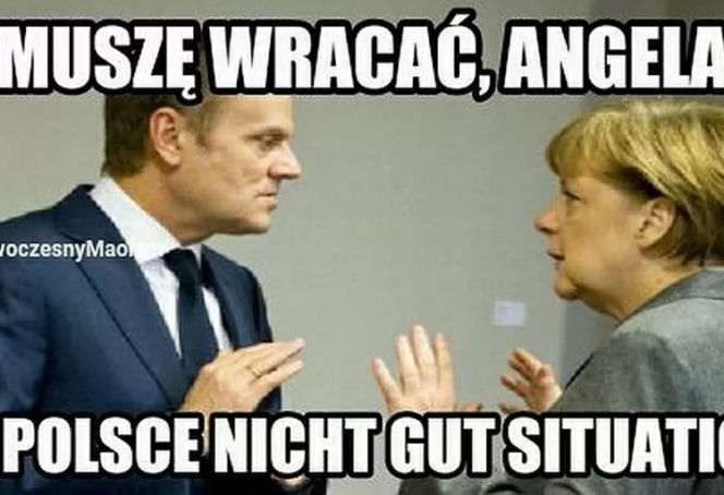 Donald Tusk wrócił do polskiej polityki. Internet OSZALAŁ, zobacz najlepsze memy!