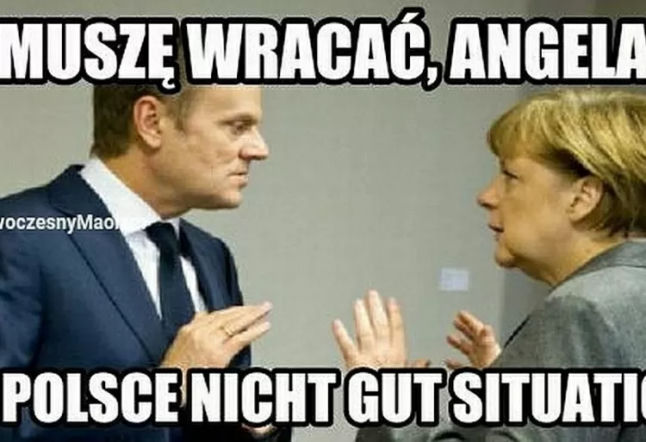 Donald Tusk wrócił do polskiej polityki. Internet OSZALAŁ, zobacz najlepsze memy!