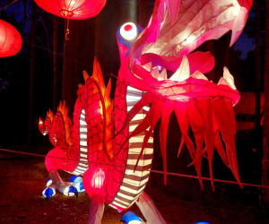 Lumina Park Bydgoszcz