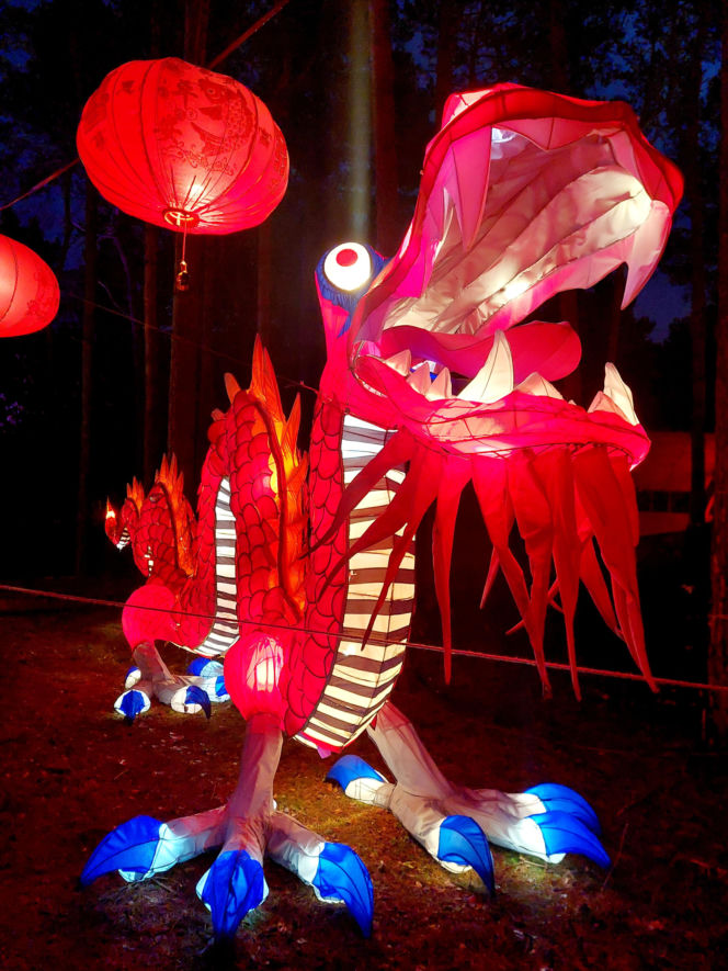 Lumina Park Bydgoszcz