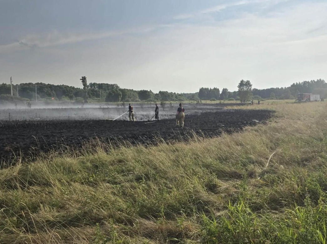 Pożar traw w powiecie mińskim spowodował wstrzymanie ruchu pociągów