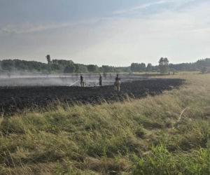 Pożar traw w powiecie mińskim spowodował wstrzymanie ruchu pociągów