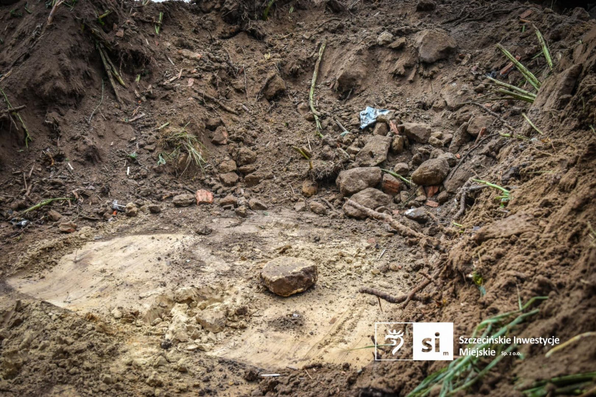 Walka z rdestowcem na budowie Trasy Północnej