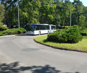 Pierwszy kurs autobusu przegubowego w Grudziądzu