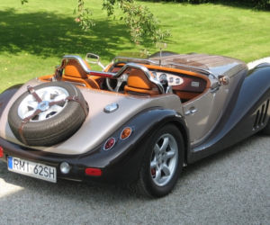 Leopard Automobile