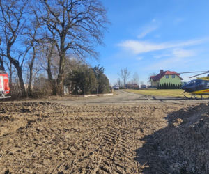 Krowa zaatakowała kobietę! Na miejscu lądował śmigłowiec LPR