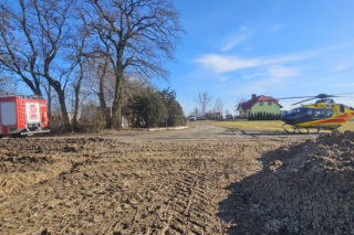 Krowa zaatakowała kobietę! Na miejscu lądował śmigłowiec LPR