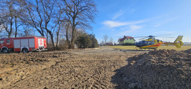 Krowa zaatakowała kobietę! Na miejscu lądował śmigłowiec LPR