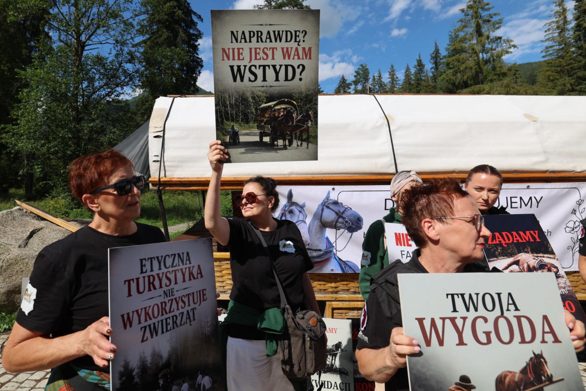 Protest przeciw przewozom konnym do Morskiego Oka