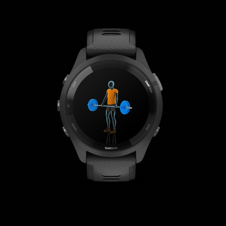 Garmin 265