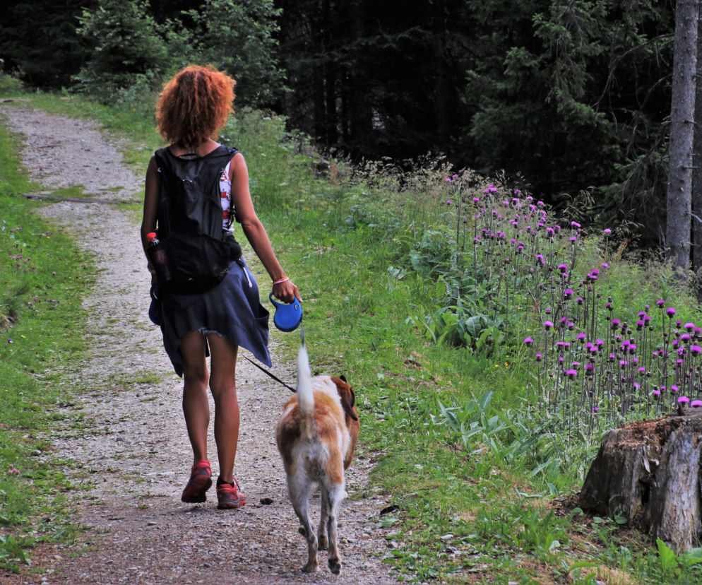 dogtrekking 2