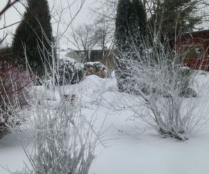 Atak zimy na wybrzeżu. Burze śnieżne, zasypane drogi i alerty IMGW