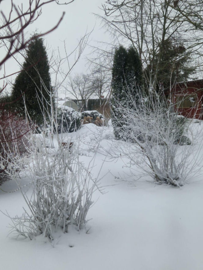 Atak zimy na wybrzeżu. Burze śnieżne, zasypane drogi i alerty IMGW
