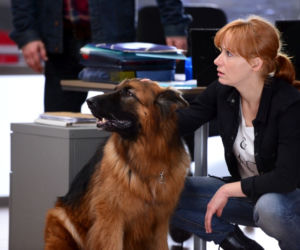 Komisarz Alex 7 sezon odc. 83 (odc. 5). Lucyna (Magdalena Walach)