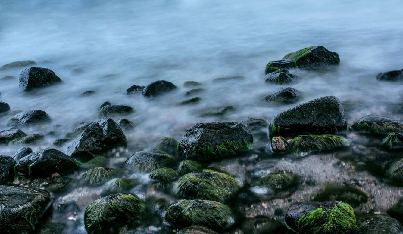 Gdynia, plaża Orłowo.