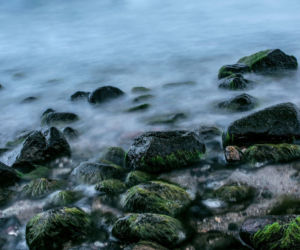 Gdynia, plaża Orłowo.