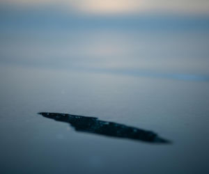 Tragedia na Bajkale. Jak ignorancja kosztowała życie siedmiu osób?