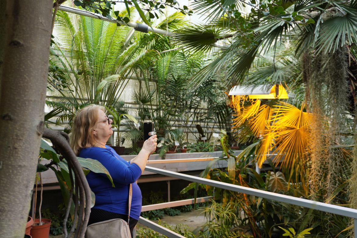 Ogród Botaniczny w Lublinie