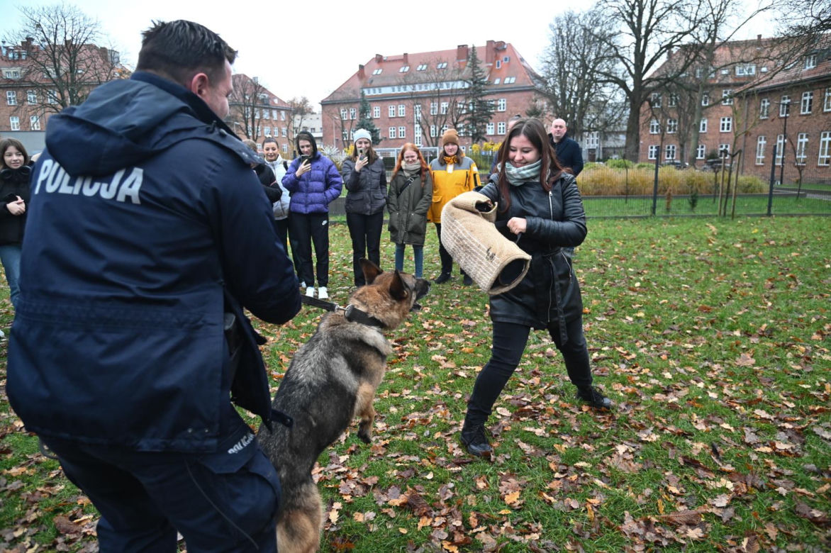 Trening psów ze studentami