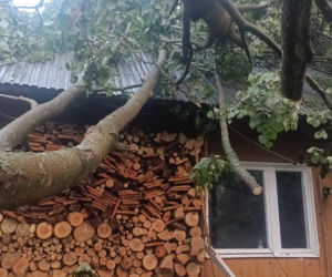 Burzowa dobra w Świętokrzyskiem