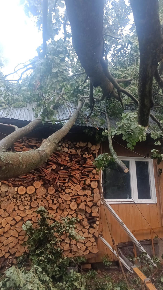 Burzowa dobra w Świętokrzyskiem