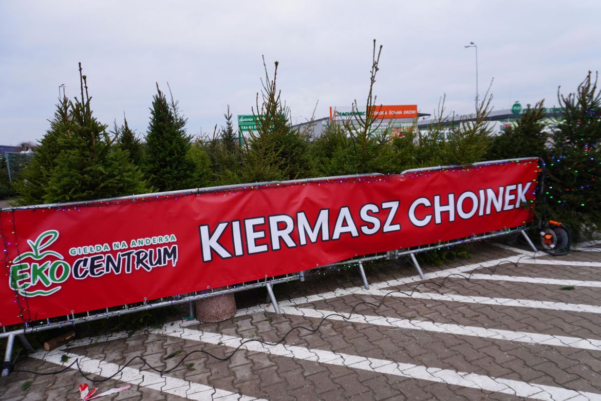 Ceny choinek w Białymstoku. Ile zapłacimy za drzewko w Podlaskiem?