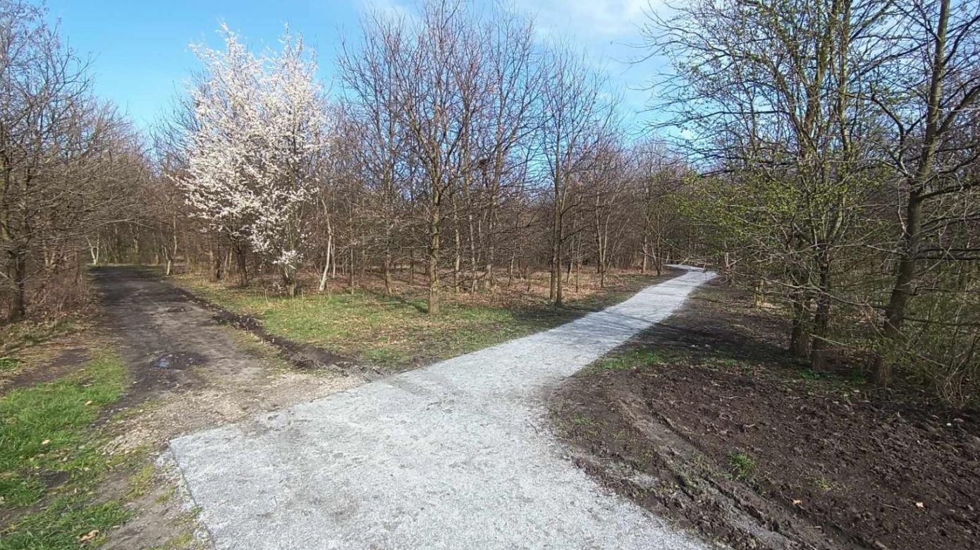 Miasto chwali się Parkiem Krzyckim. Na hucznym otwarciu mieszkańcy zastali plac budowy 