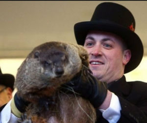 Świstaki nie uzgodniły prognoz
