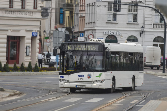 Darmowa komunikacja miejska w Toruniu na 1 listopada. Dużo zmian w dniu Wszystkich Świętych