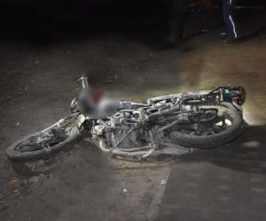 Koń ZABIŁ motorowerzystę?! ZOBACZ ZDJĘCIA