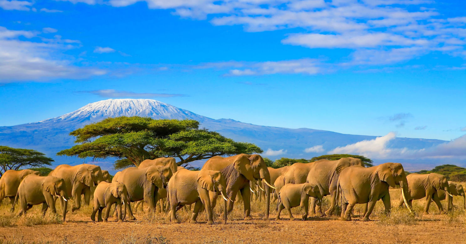 Kenia łączy plażowanie z safari