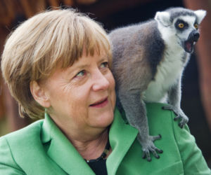 Merkel obsiadły papugi