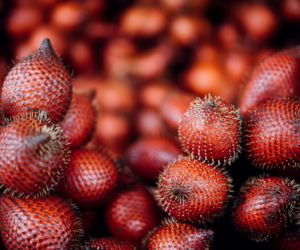 Salak, czyli wężowa palma