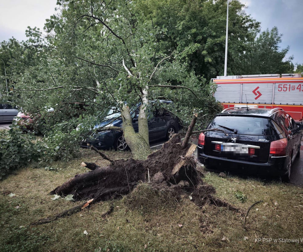 Powalone drzewo na samochody po burzy, obok wóz strażacki. O skutkach nawałnic w Polsce przeczytasz na SE Pogoda.