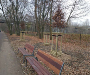Zakończył się tegoroczny etap rewaloryzacji parku im. A. Wodziczki