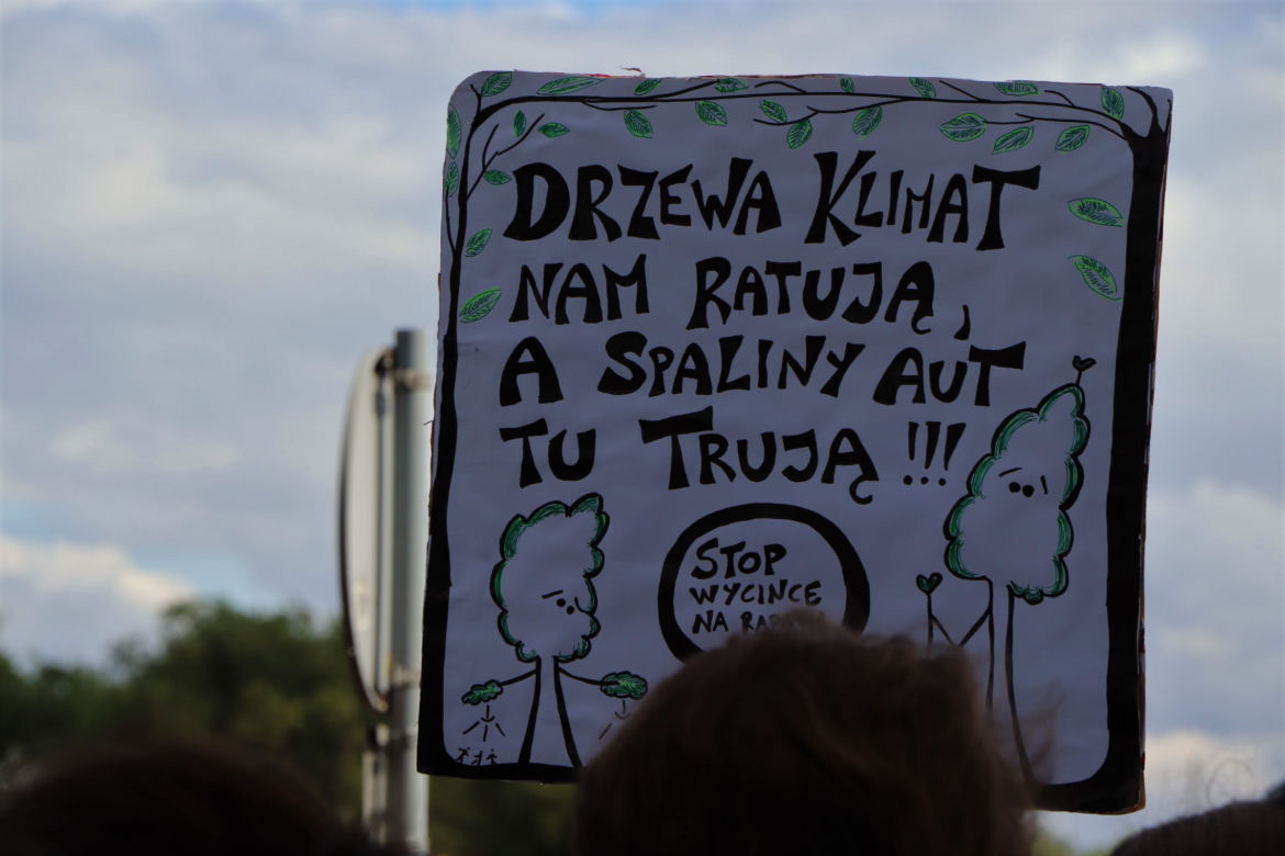 Wielki protest w Toruniu. Mieszkańcy mówią #stopBETONOZIE