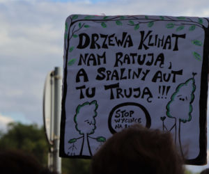 Wielki protest w Toruniu. Mieszkańcy mówią #stopBETONOZIE