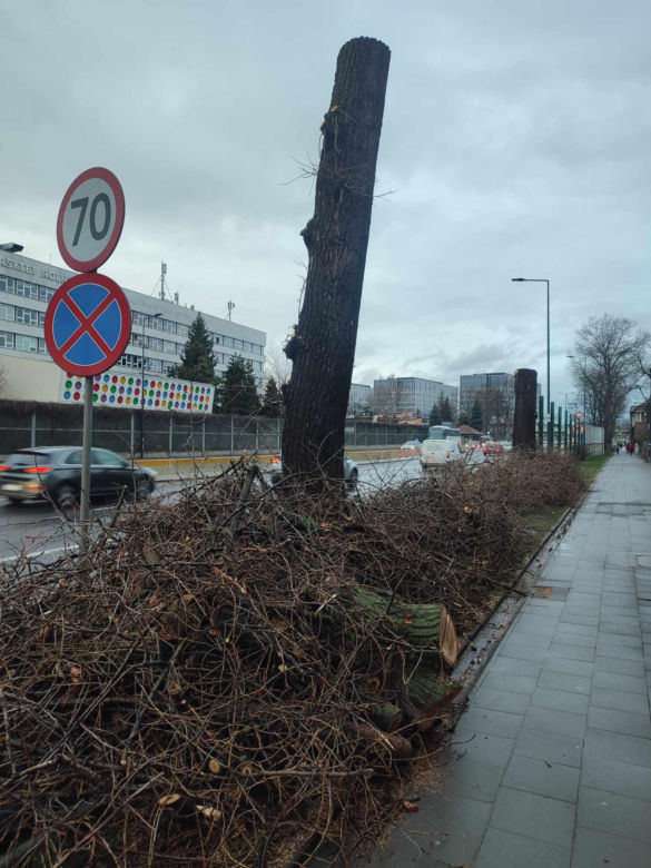 Nowa ścieżka rowerowa na al. 29 Listopada. Skończyło się rzezią drzew