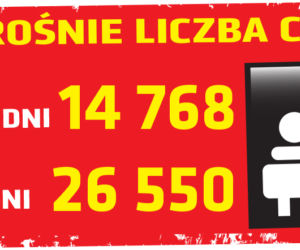 Koronawirus - 17.04.2020 - zobacz najnowsze wykresy