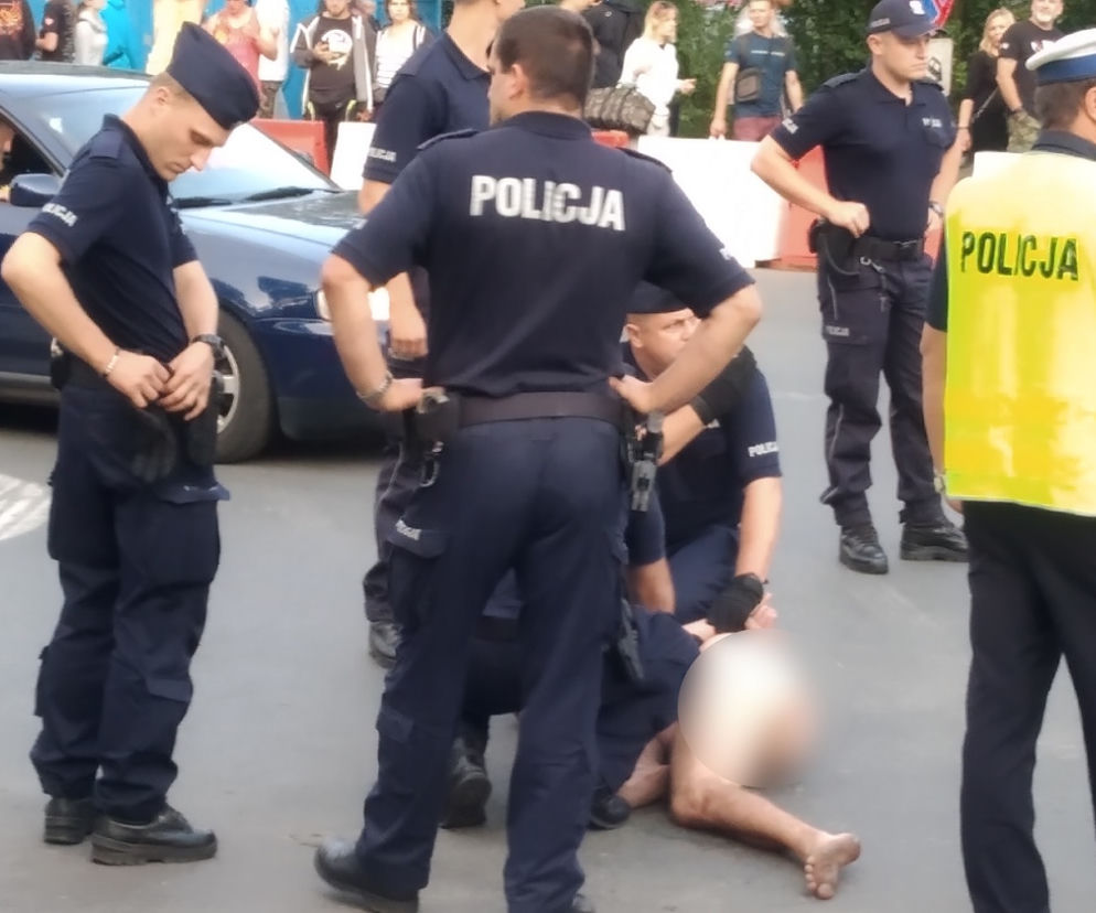 Agresywny golas Kostrzyn. 