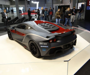 Arrinera Hussarya 